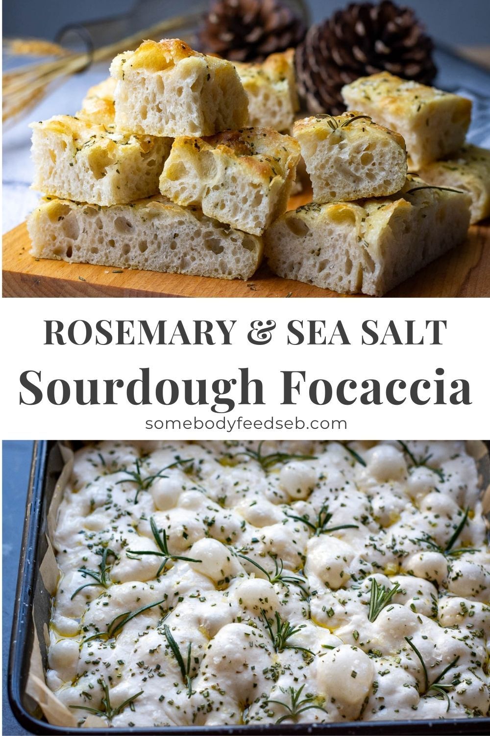 20 Rosemary Recipes: Cooking with the Aromatic Woody Herb