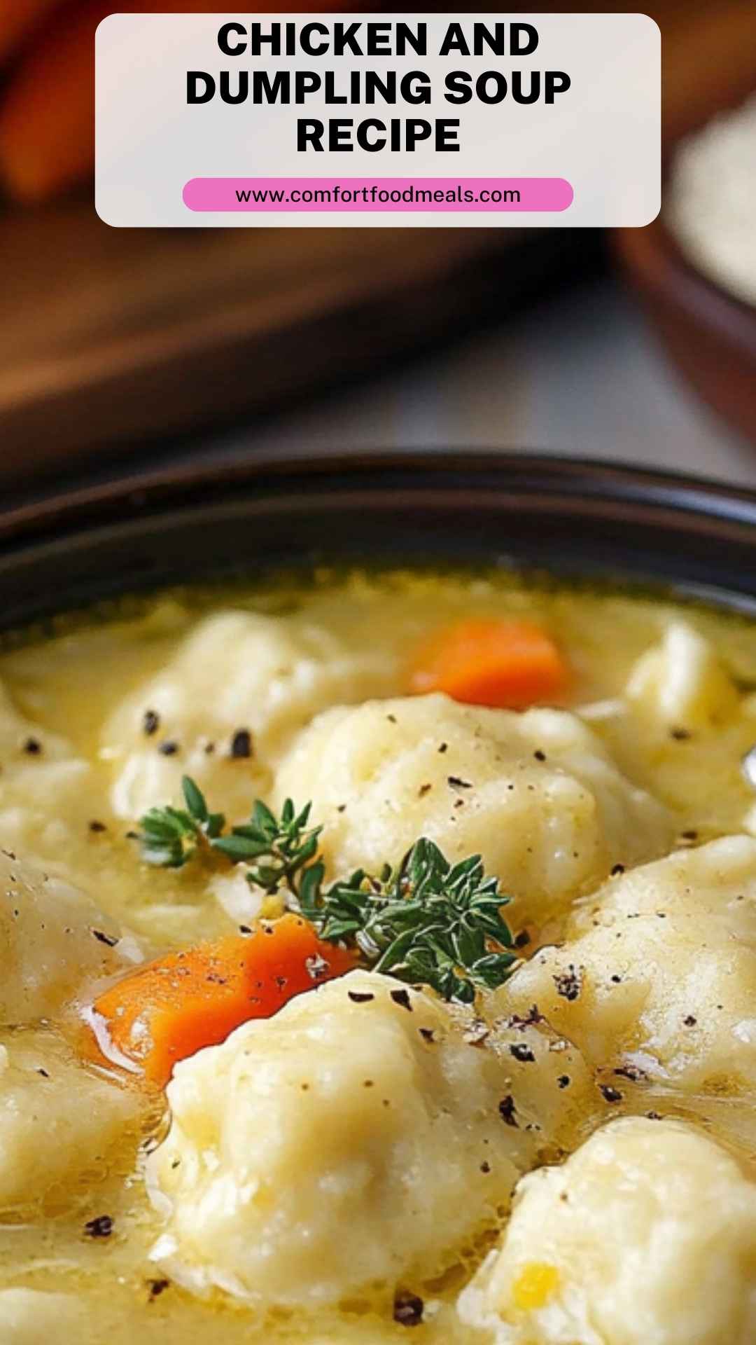 American Chicken and Dumpling Soup