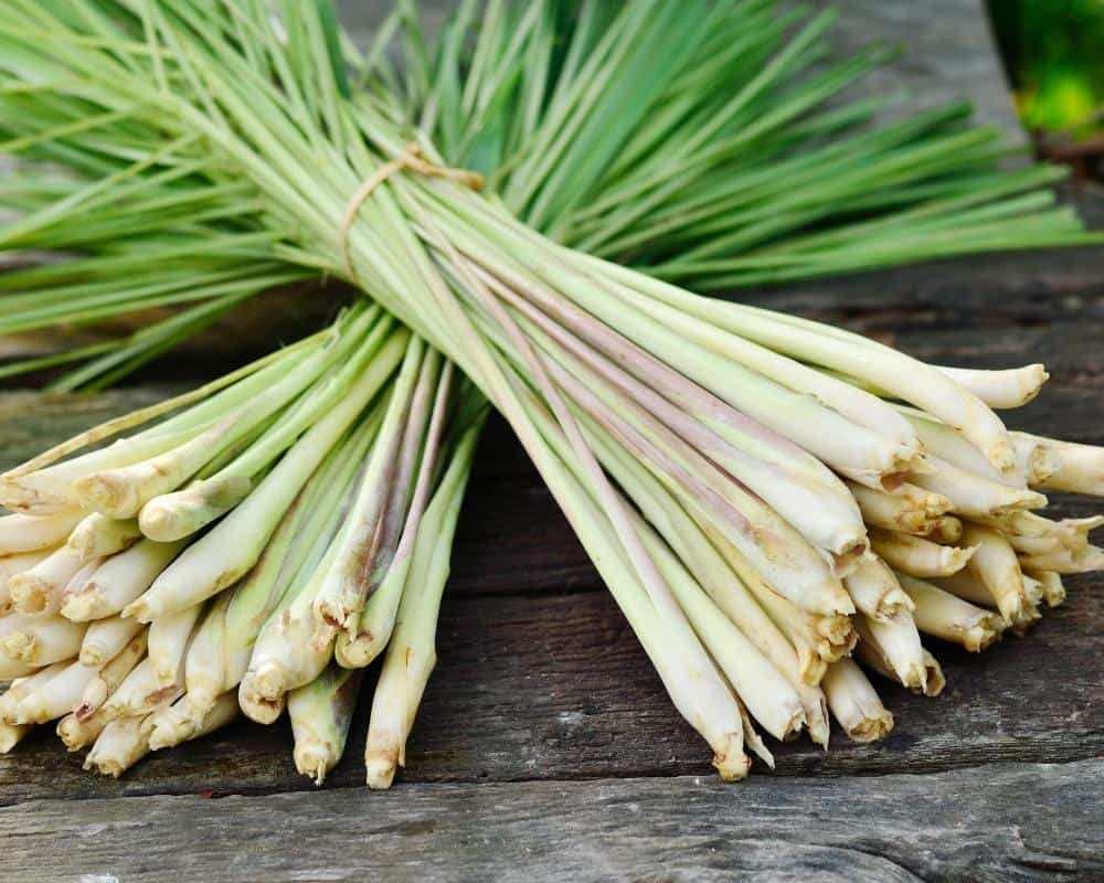 Lemongrass-Saffron Shrimp Risotto