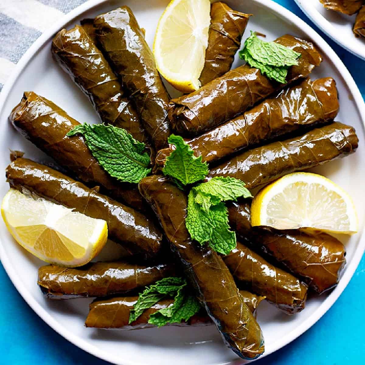 Dolma Iraqi Stuffed Vegetables with Lamb