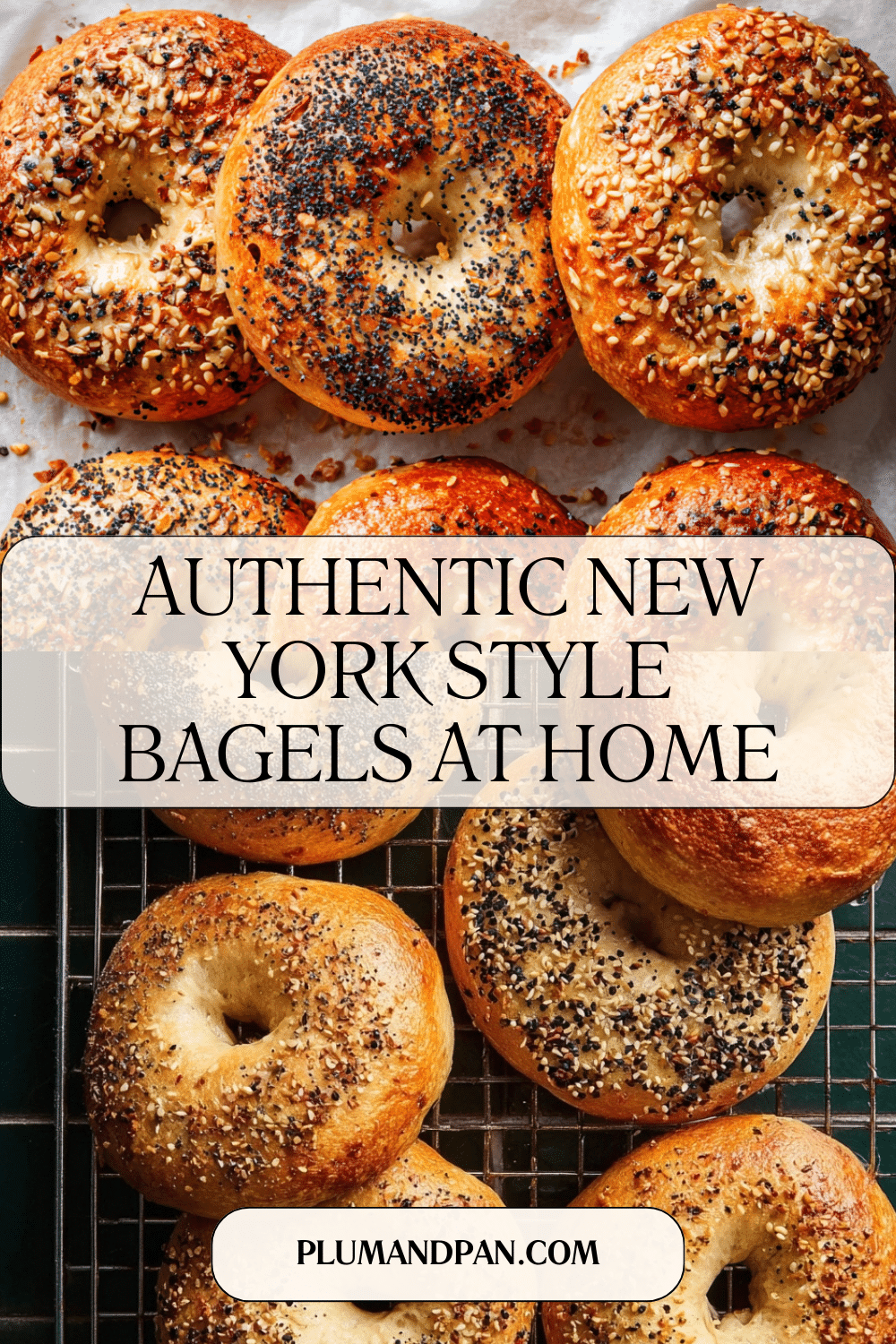 Homemade New York-Style Bagel with Everything Seasoning