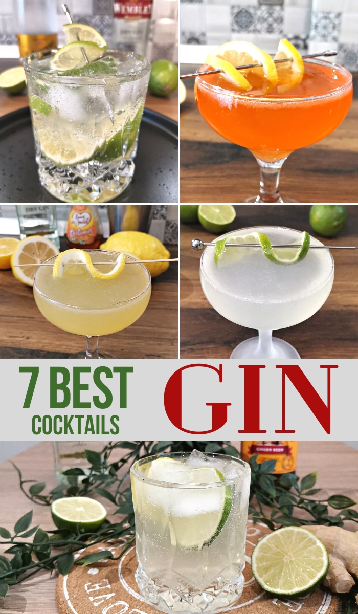 20 Best Gin Cocktails for Home Bartenders: Classic + Modern Recipes