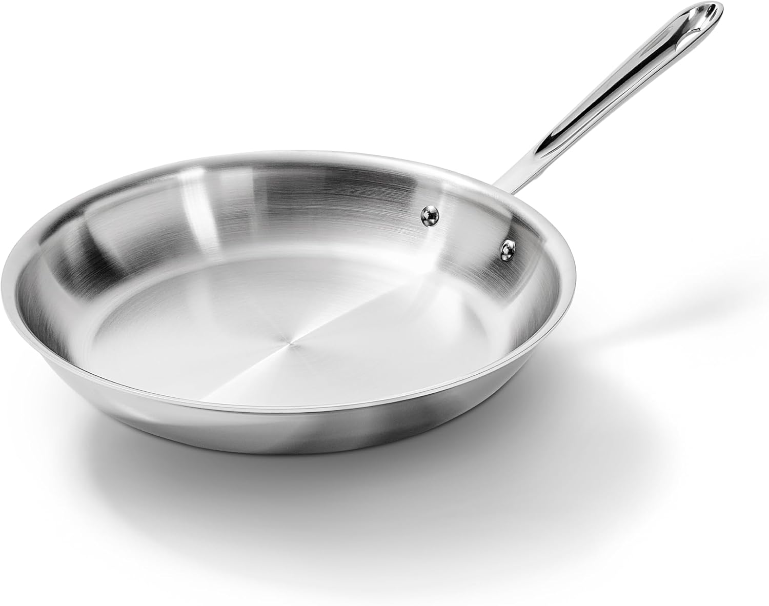 Best stainless steel skillet 2026